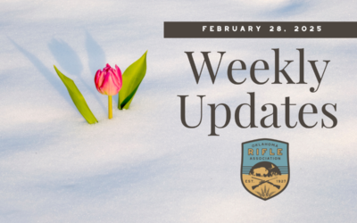 Weekly Updates – 2/28/25
