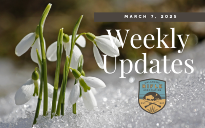 Weekly Updates – 3/7/2025