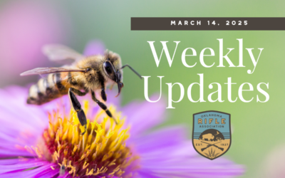 Weekly Updates – 3/14/25