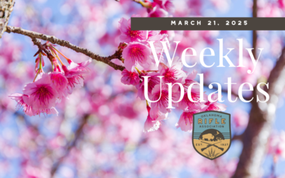 Weekly Updates – 3/21/25