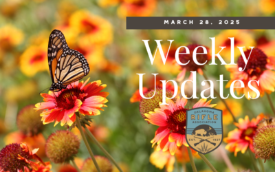 Weekly Updates – 3/28/25