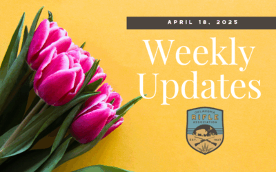 Weekly Updates – 4/18/25