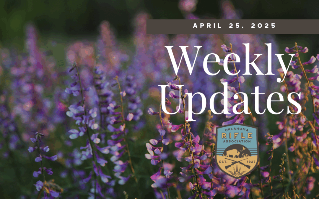 Weekly Update – 4/25/25