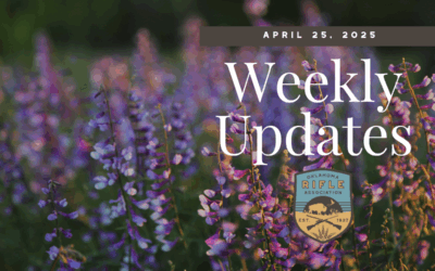 Weekly Update – 4/25/25