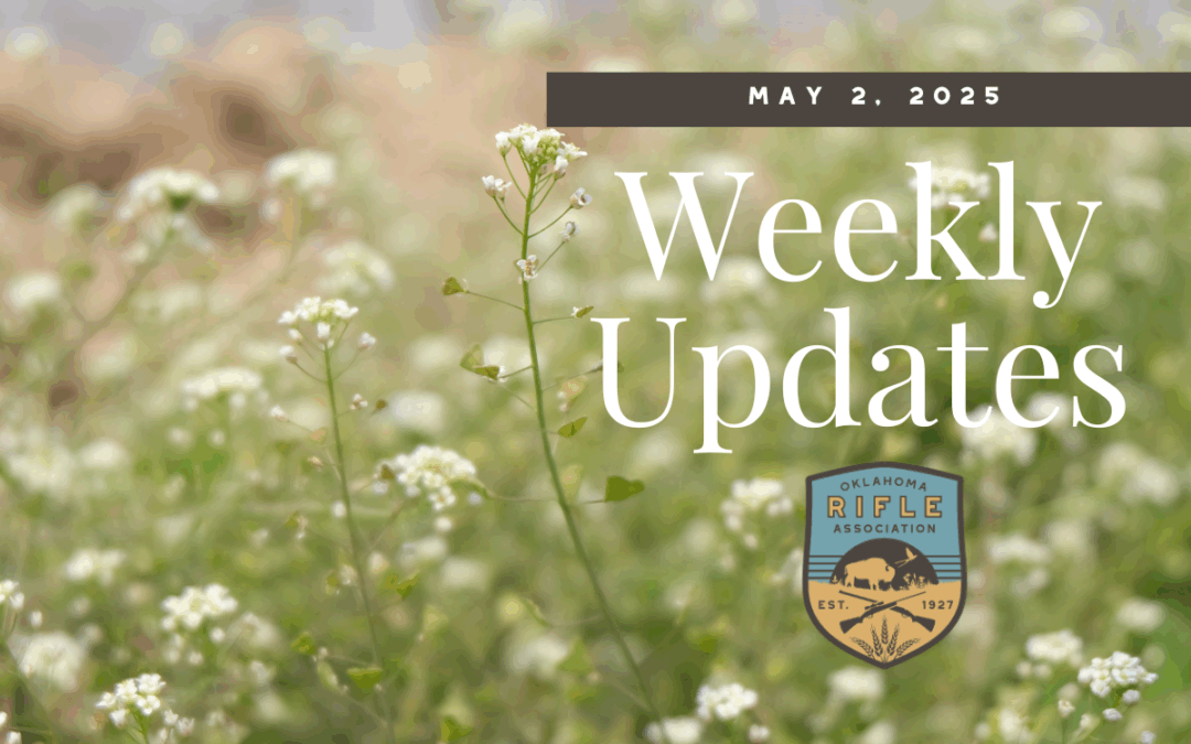 Weekly Update – 5/2/25