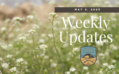 Weekly Update – 5/2/25