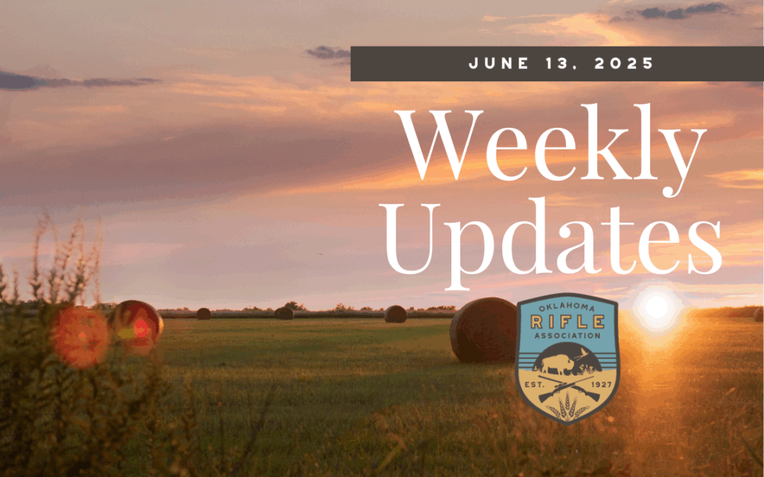 Weekly Updates – 6/13/25