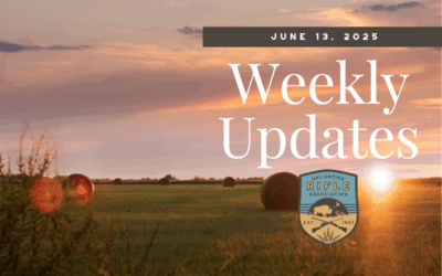 Weekly Updates – 6/13/25