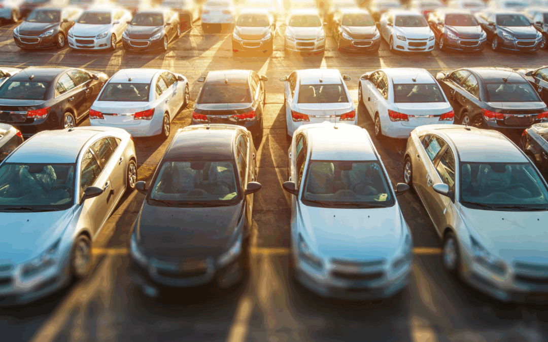 Firearms and Vehicles: What you Need to Know