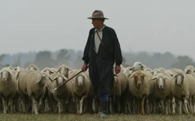 Walk Through the Valley